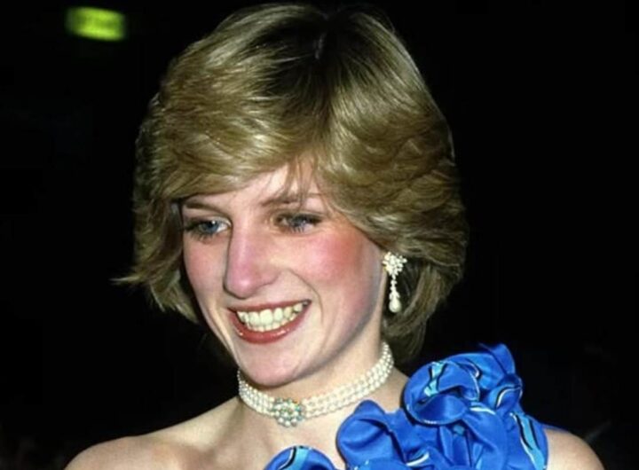 Lady Diana accessorio moda